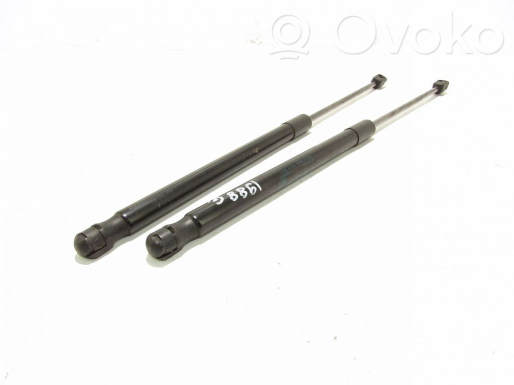Tailgate/trunk strut/damper   22798954,315005777