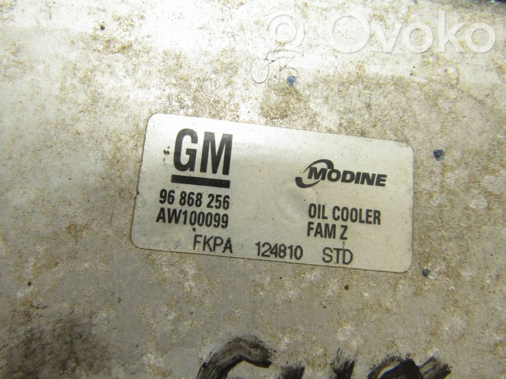 Öljynsuodattimen kannake   96868256