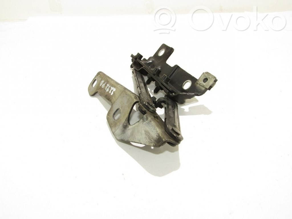 Opel Insignia A Cerniere del vano motore/cofano