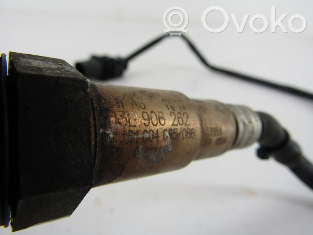 Lambda zonde   03L906262