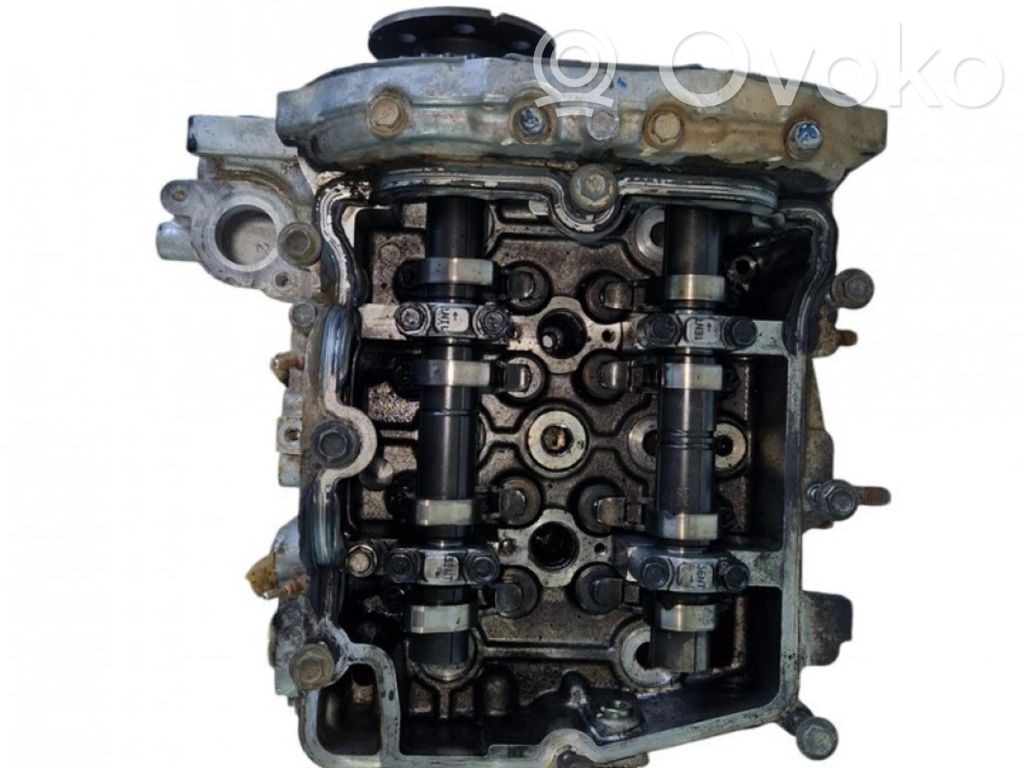 Galvutė   T20D