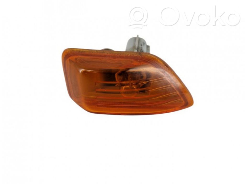 Seitenblinker