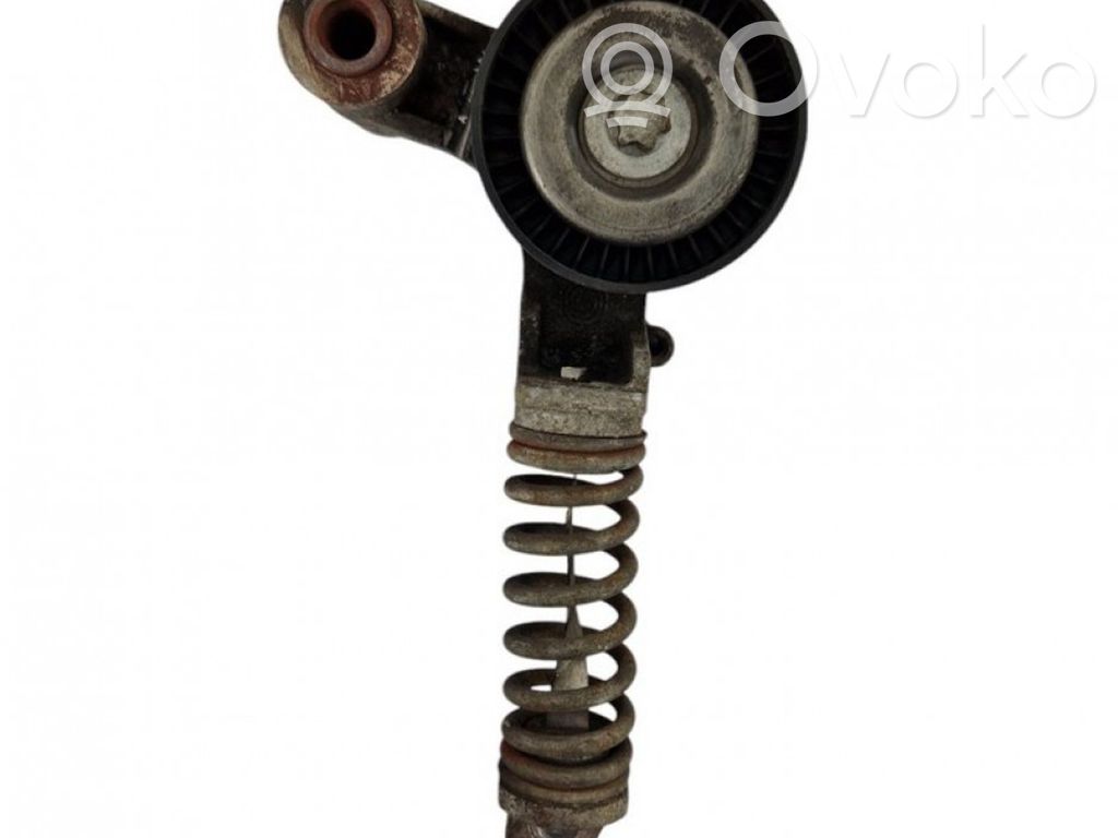 Tensor de la correa del alternador   55352021AW