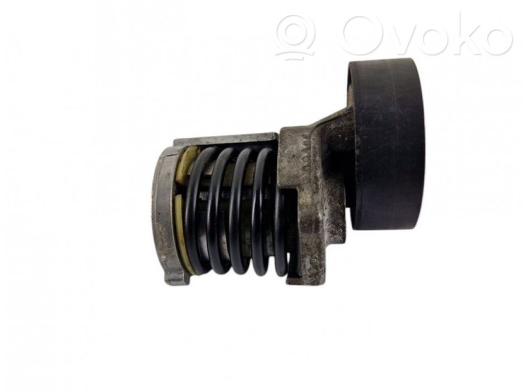 Skoda Roomster (5J) Întinzător curea alternator 