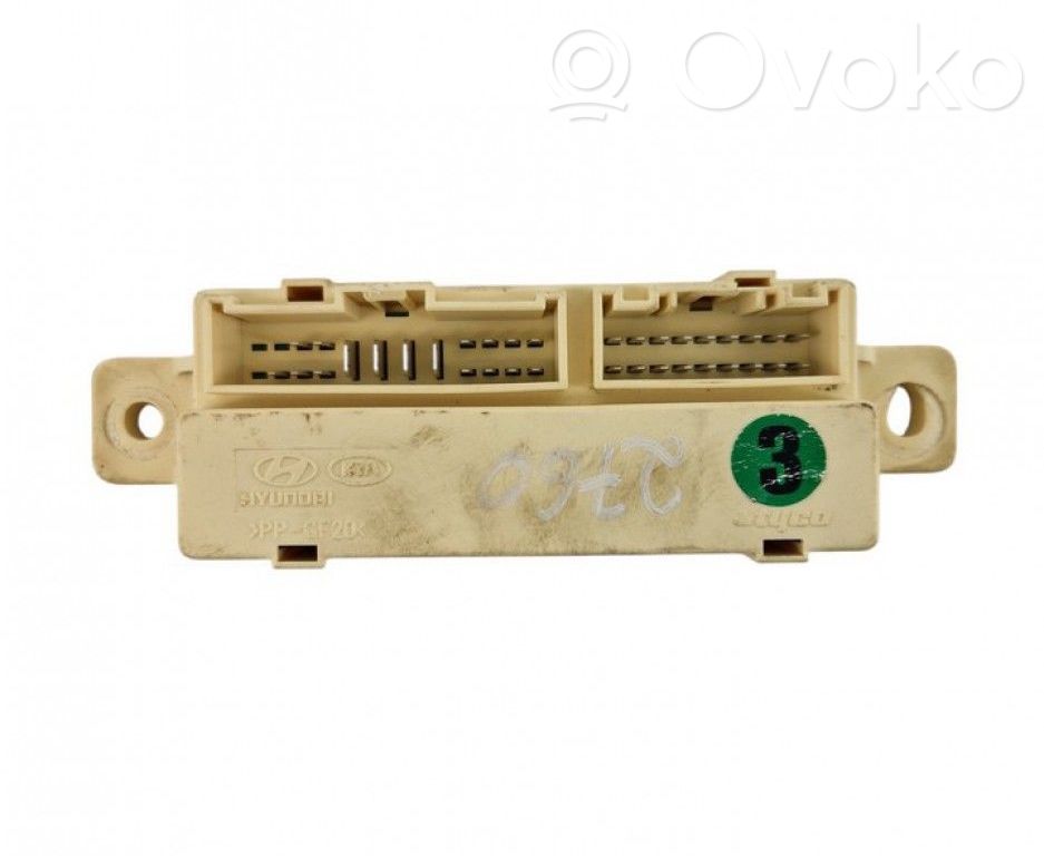 Altre centraline/moduli   919402H130
