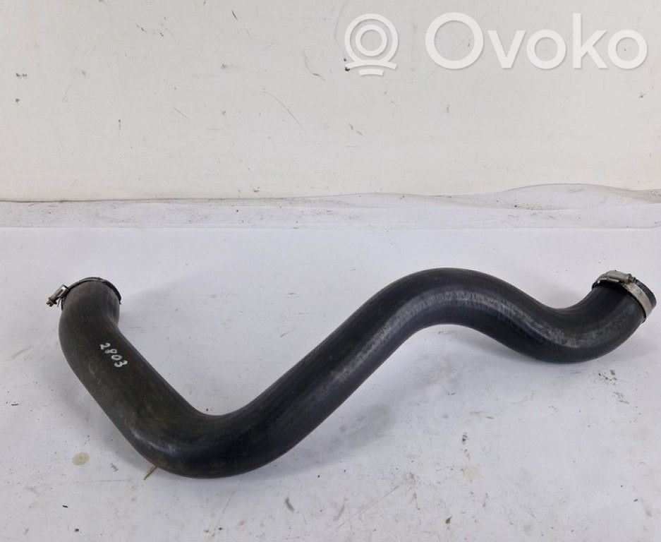Nissan Primastar Furtun/conductă intercooler 