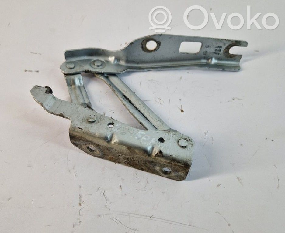 Volkswagen Eos Balamale capotă