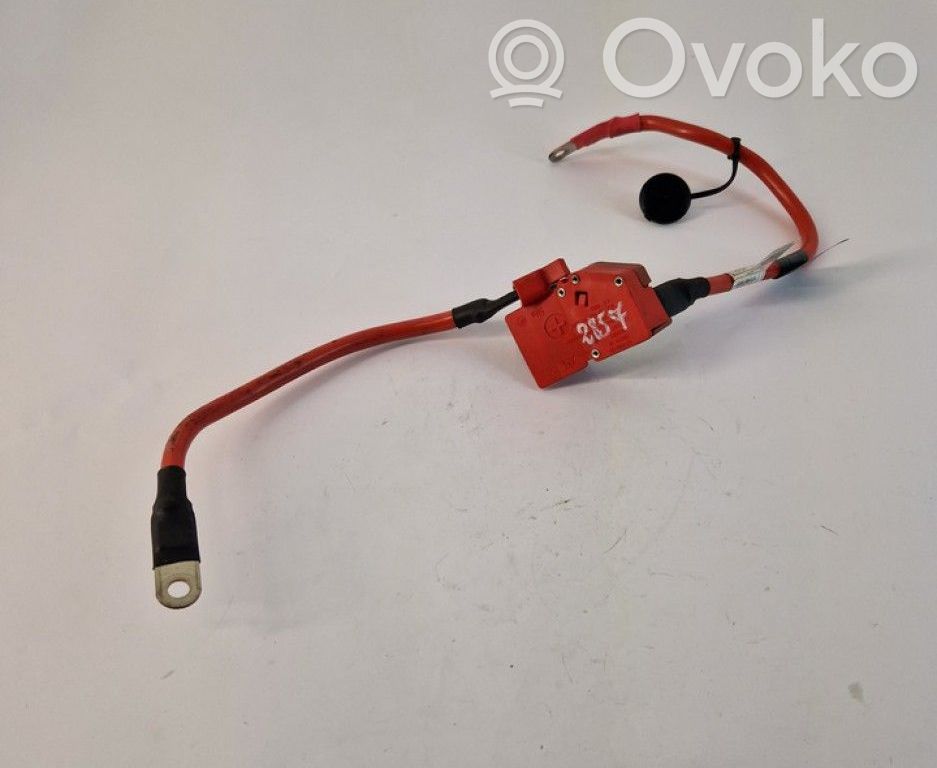 BMW 3 F30 F35 F31 Cavo positivo (batteria) 