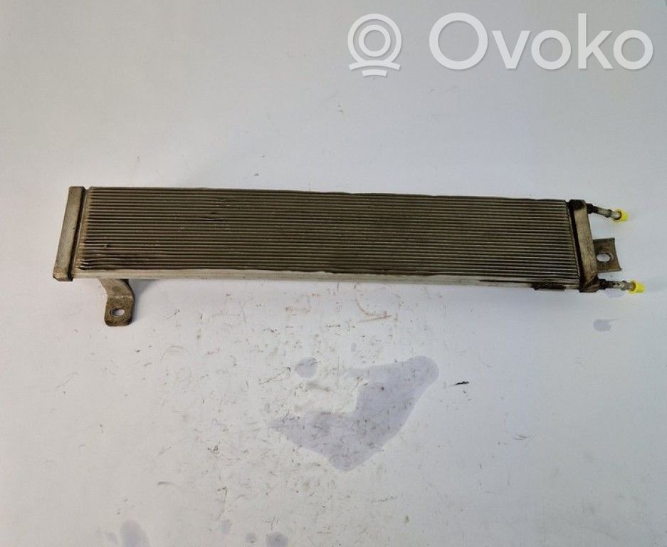 Seat Alhambra (Mk1) Radiatore del carburatore (radiatore)