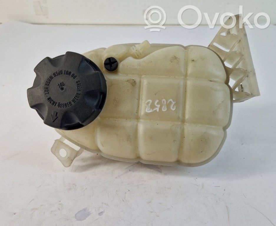 BMW 1 F20 F21 Serbatoio di compensazione del liquido refrigerante/vaschetta 