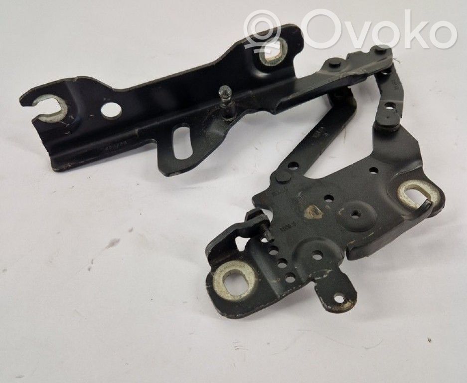 BMW 3 F30 F35 F31 Cerniere del vano motore/cofano