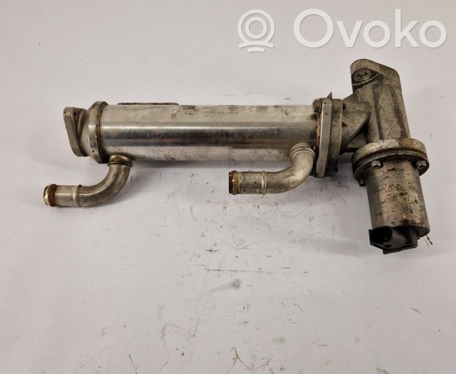 Hyundai Santa Fe Valvola EGR