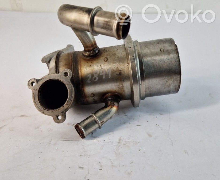 Volkswagen Caddy Valvola di raffreddamento EGR