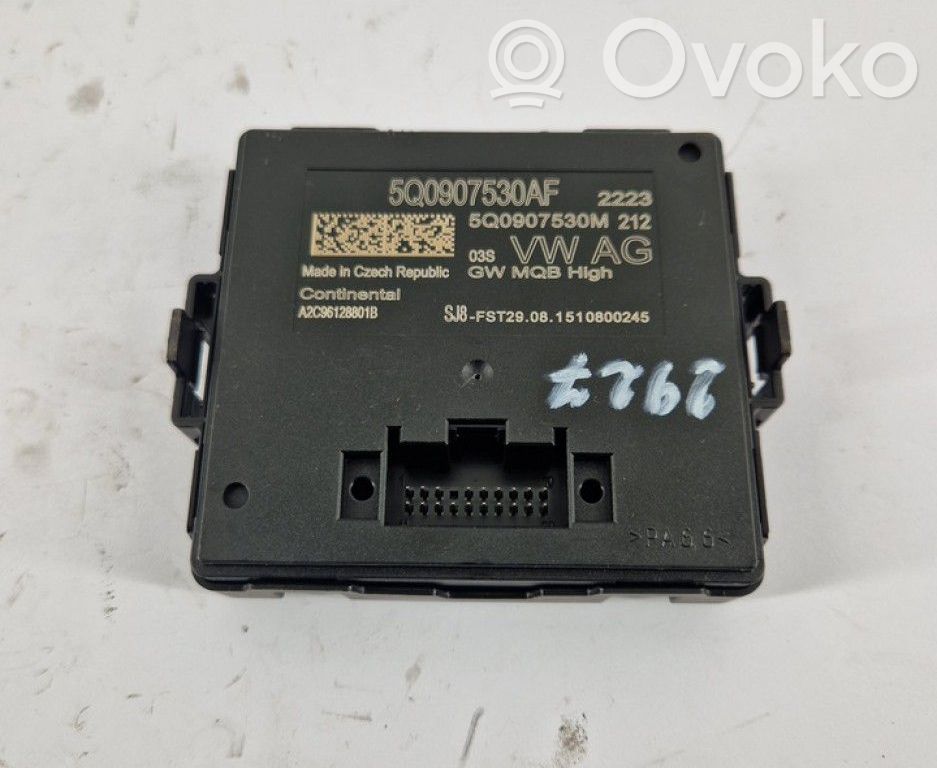 Volkswagen PASSAT B8 Modulo di controllo accesso