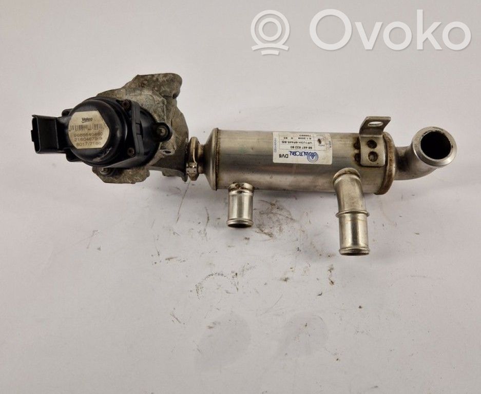 Citroen C4 I Răcitor supapă EGR