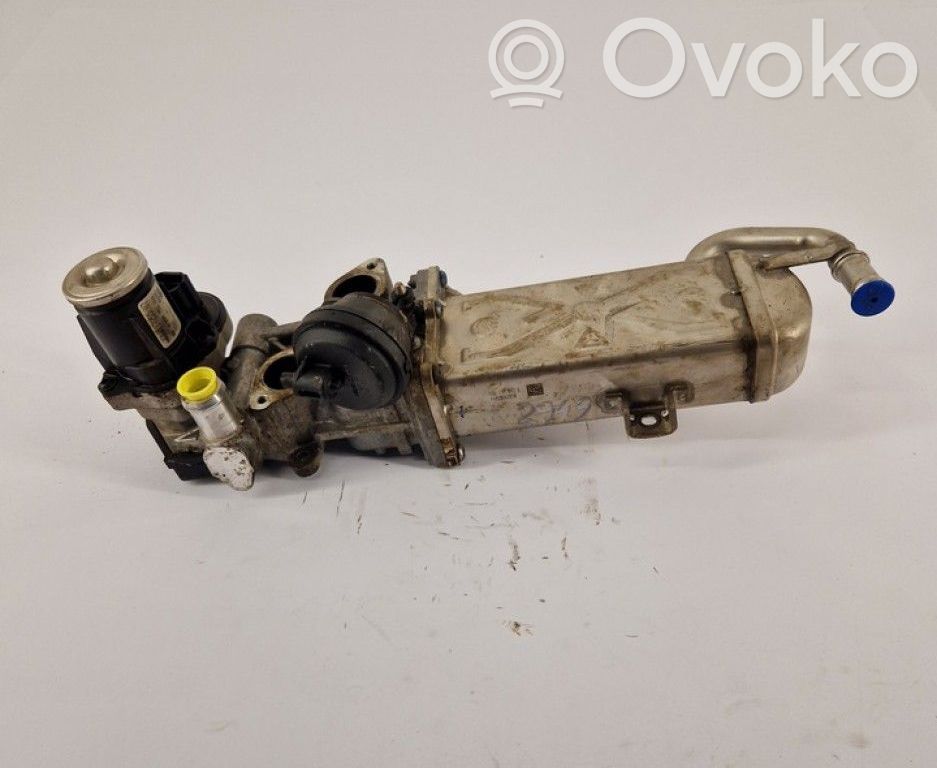 Volkswagen Golf VI Valvola EGR