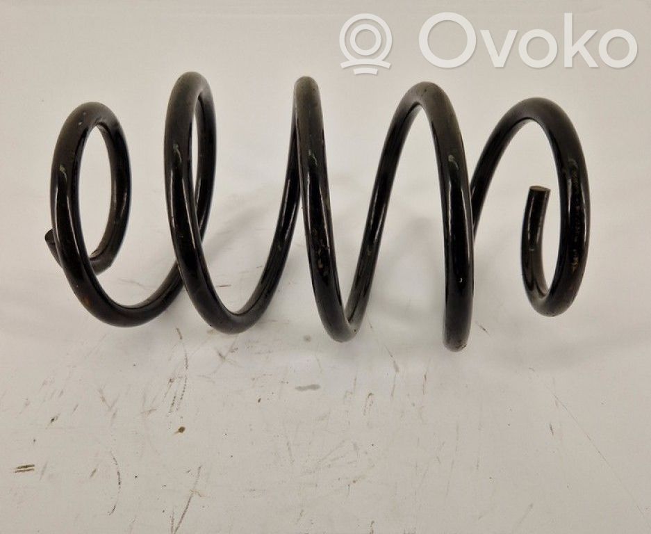 Feder vorne