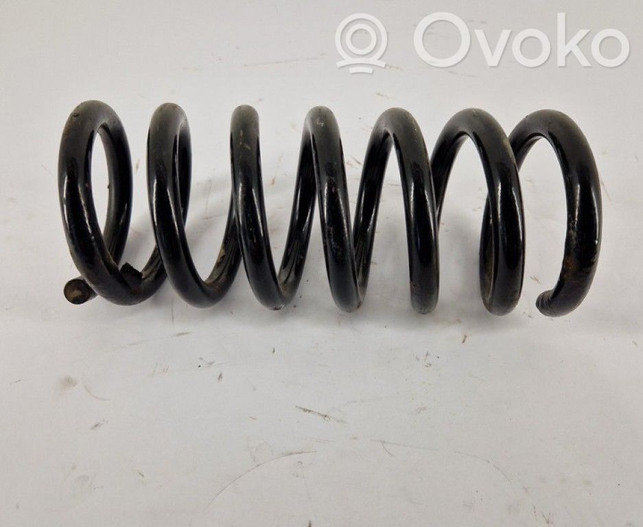 Muelle espiral trasero