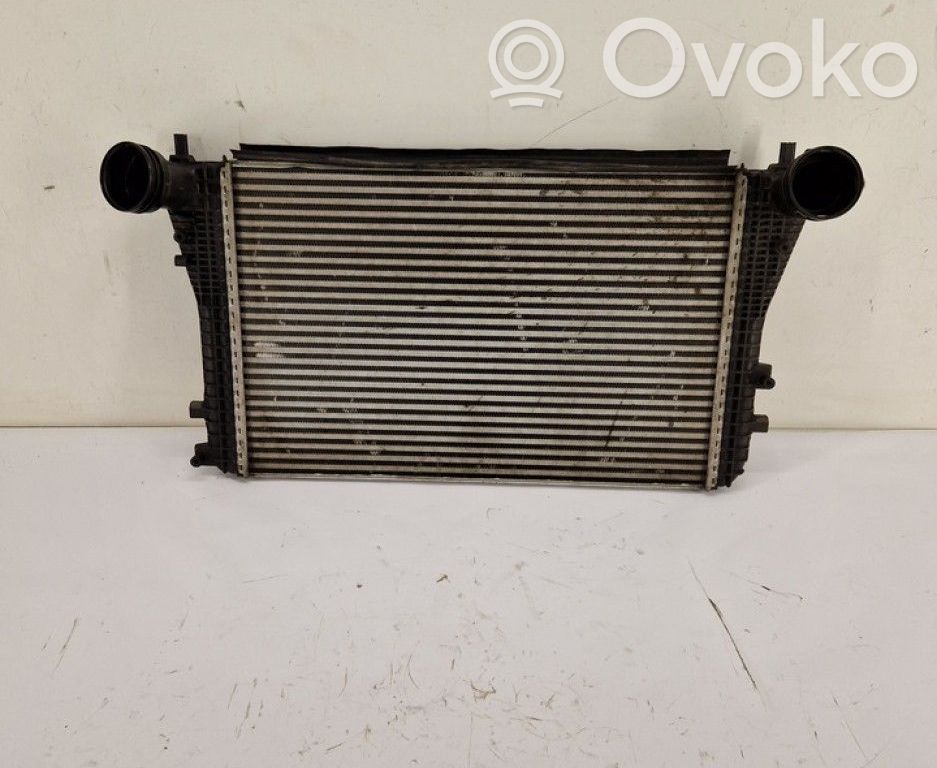 Volkswagen Touran I Radiatore intercooler 