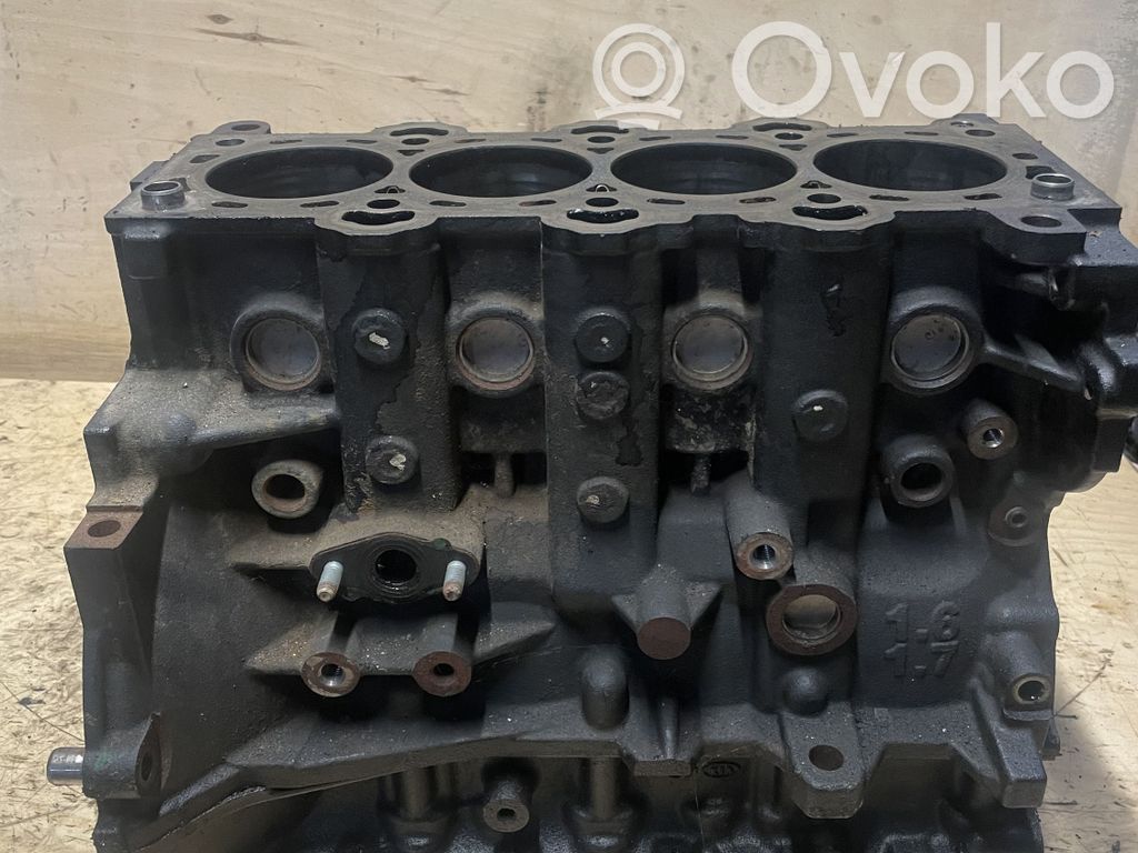 KIA Sportage Bloc motor 