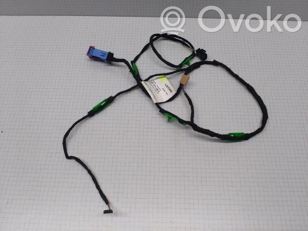 Audi A6 S6 C6 4F Cableado de puerta trasera 