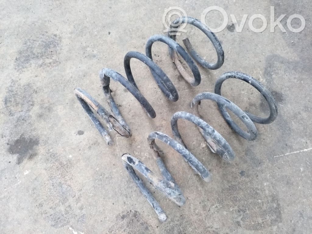 Rear coil spring