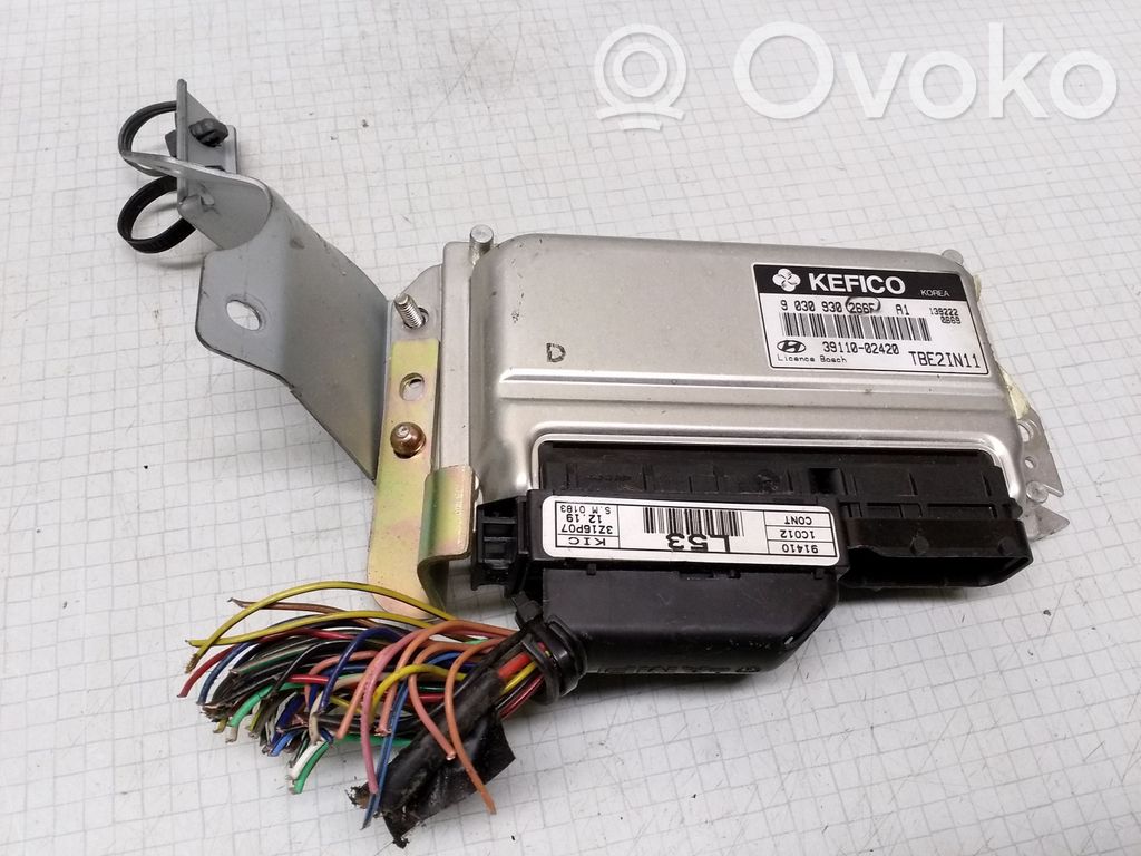 Hyundai Getz Engine control unit/module 