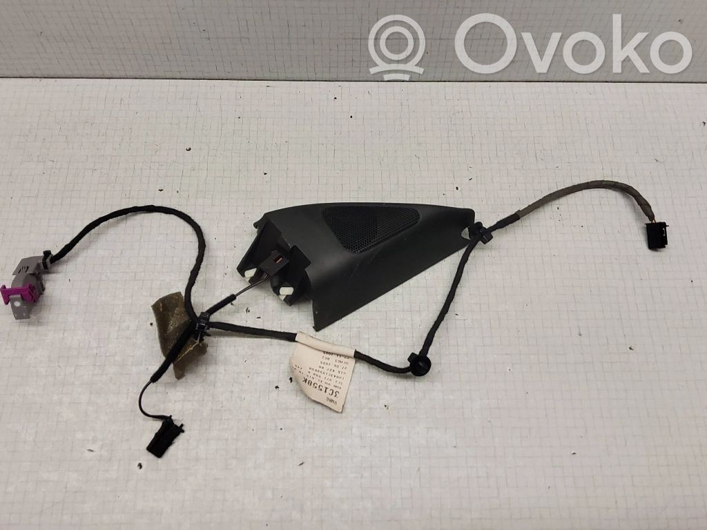 Volkswagen PASSAT B6 Tweeter ușă față 