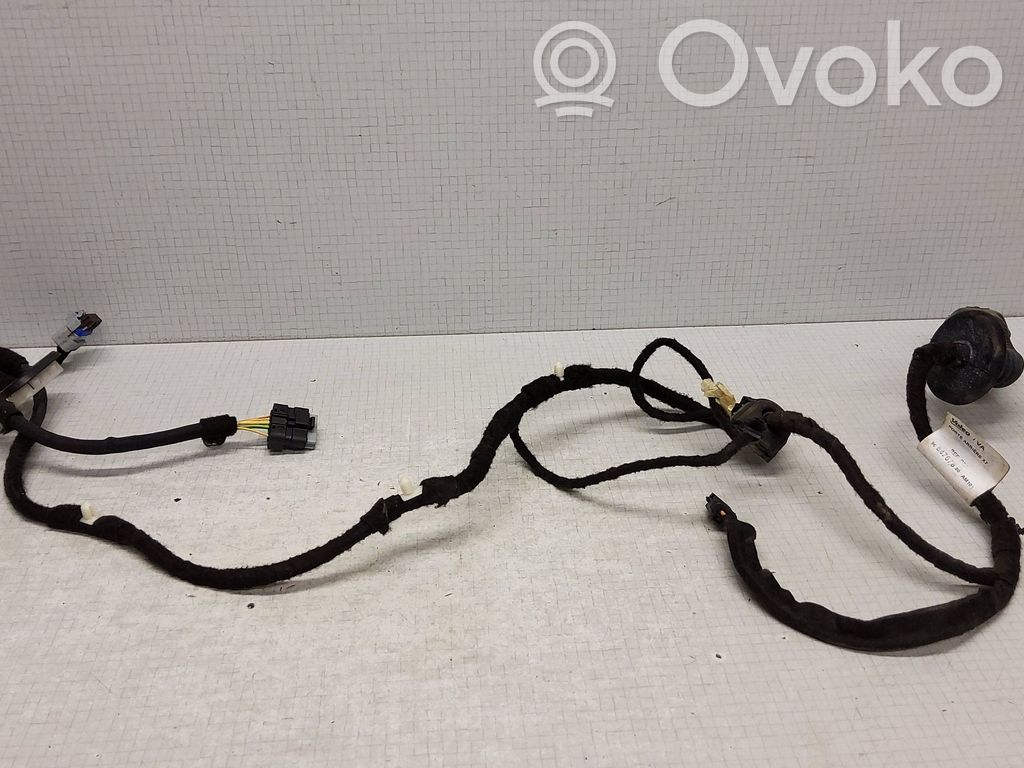 Cableado de puerta trasera   9684767880