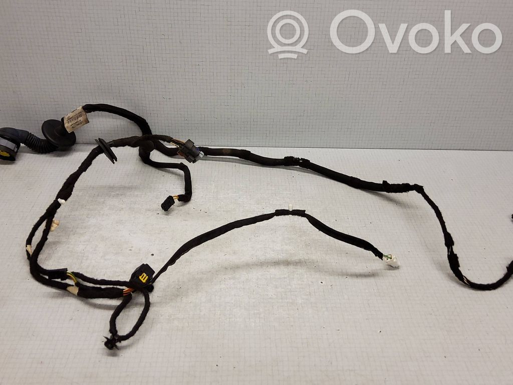 Citroen C5 Cableado de puerta delantera 