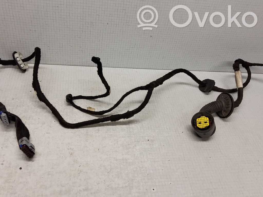 Citroen C5 Cableado de puerta trasera 