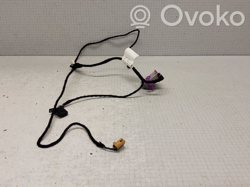 Audi A4 S4 B6 8E 8H Cableado de puerta delantera 