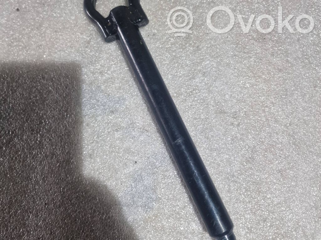 Charnière De Porte RENAULT Grand Scénic III 824309533R