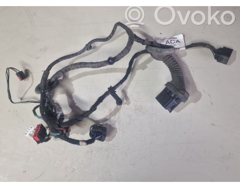 Ford S-MAX Cableado de puerta delantera 