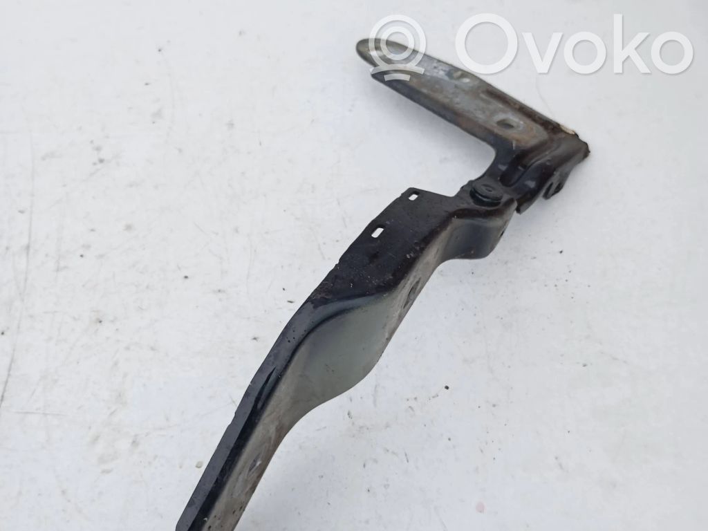 Porsche Cayenne (92A) Cerniere del vano motore/cofano 