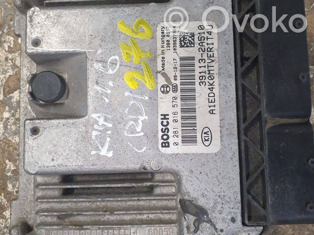 Engine control unit/module   0281016570,391132A510