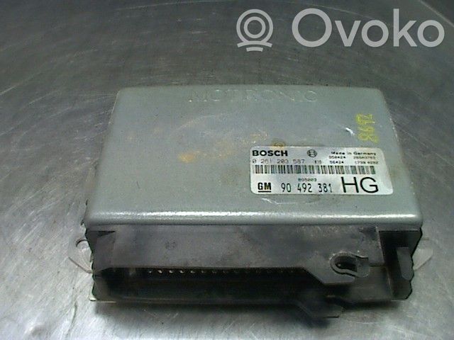 Opel Omega B1 Injection control unit/module 