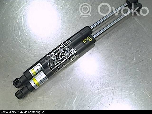 Tailgate strut   8731A2