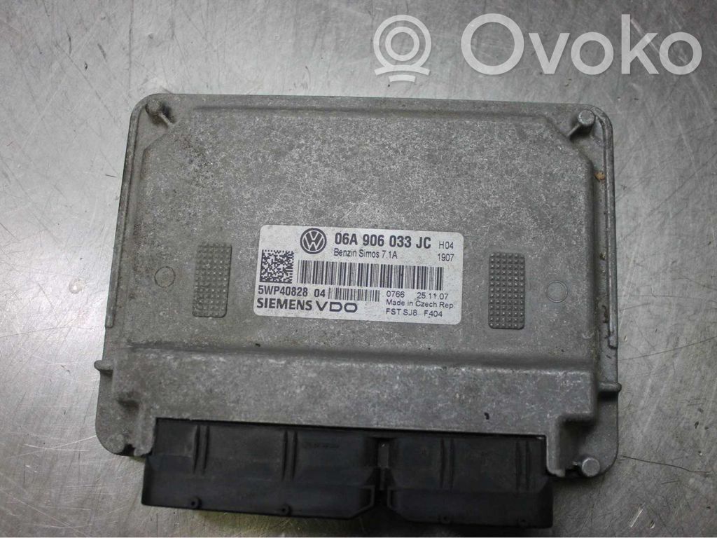 Seat Leon (1P) Injection control unit/module 