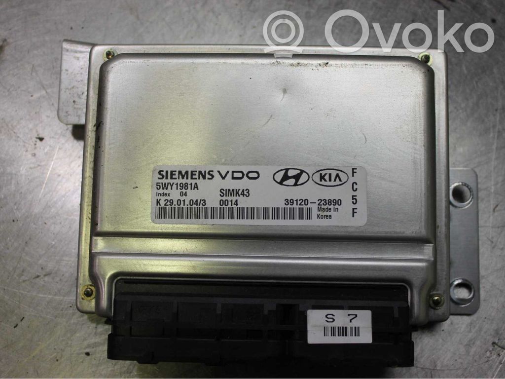 Hyundai Trajet Injection control unit/module 