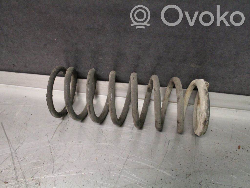 Rear coil spring