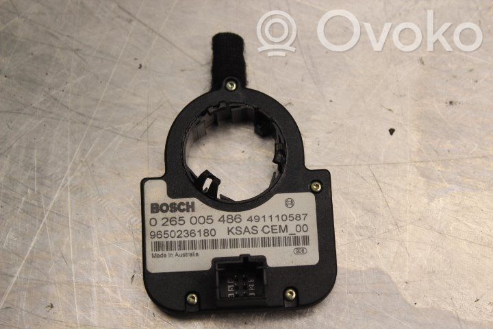 Lenkwinkelsensor   9650236180,0265005486,586156296