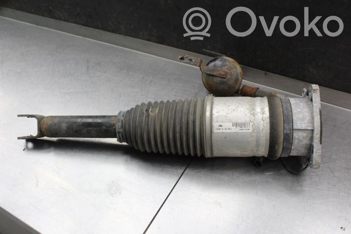 Stoßdämpfer hinten