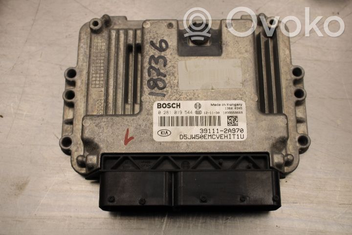 Unité de commande / module d'injection   391112A970,0281019544