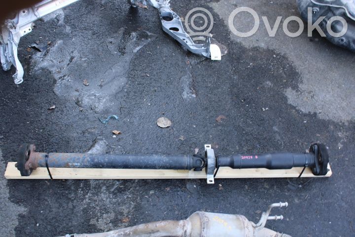 Drive shaft (set)