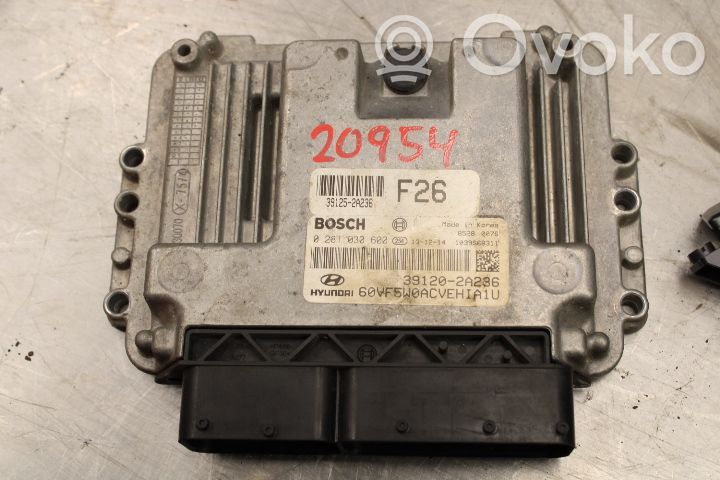 Injection control unit/module   0281030600,391252A236
