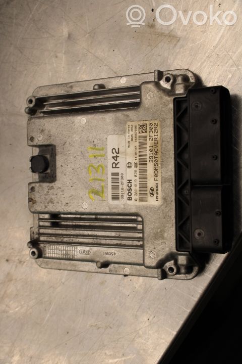 Hyundai Santa Fe Injection control unit/module 