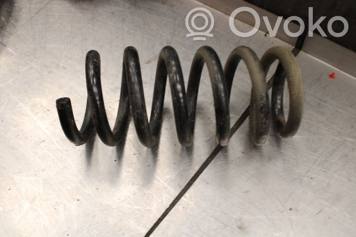 Muelle espiral trasero