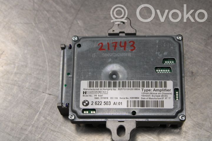 Amplificatore   2622503