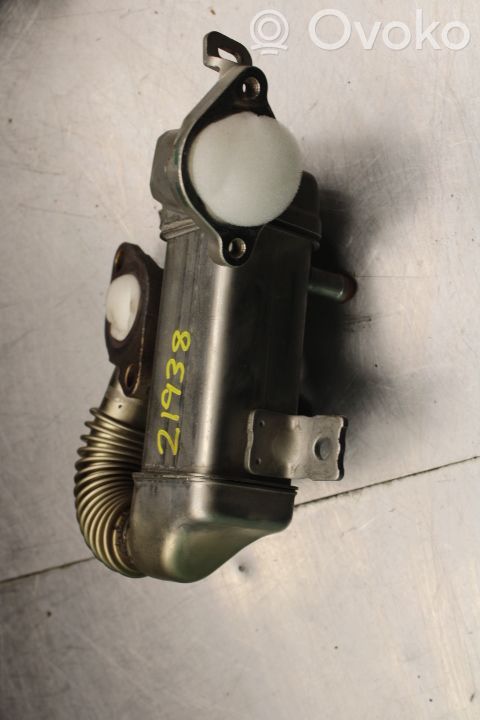 Nissan Qashqai Valvola di raffreddamento EGR